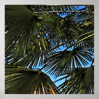 summer spirit