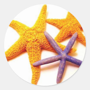 Summer Starfish Stickers