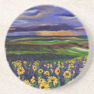 Summer Storm Coaster