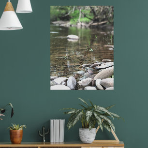 Summer Stream Photo Calm Peaceful Scene Poster