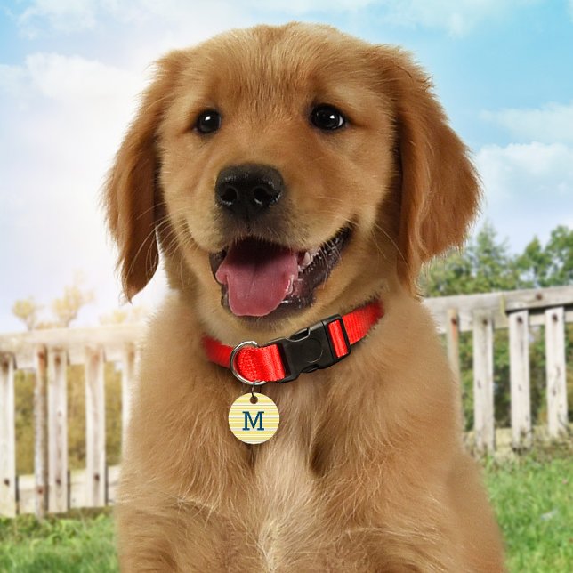 Summer Stripes Personalised Monogram ID Dog Tag (Creator Uploaded)