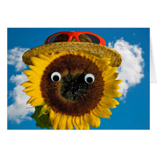 Summer Sunflower Humour Birthday