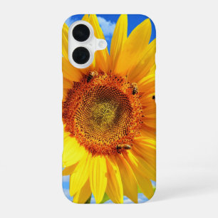 Summer Sunflower iPhone Case