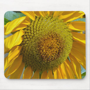 Summer sunflower mouse mat
