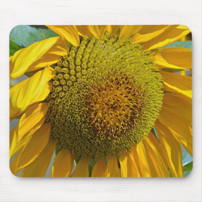 Summer sunflower mouse mat (Front)