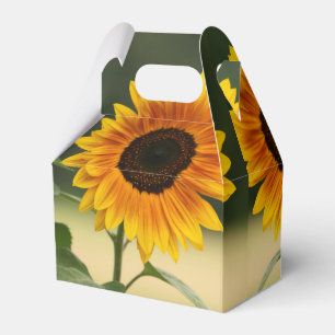Summer Sunflower Organic Favour Box