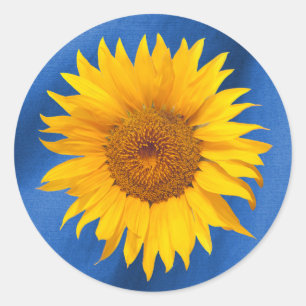 Summer Sunflower Royal Blue Wedding Favour Classic Round Sticker