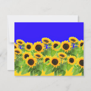 Summer Sunflowers Cards