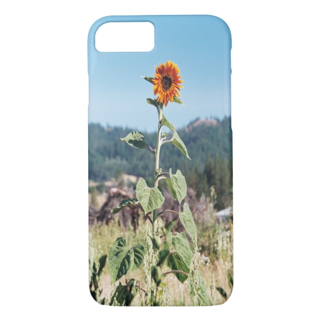 Summer Sunflowers....... Case-Mate iPhone Case (Back)