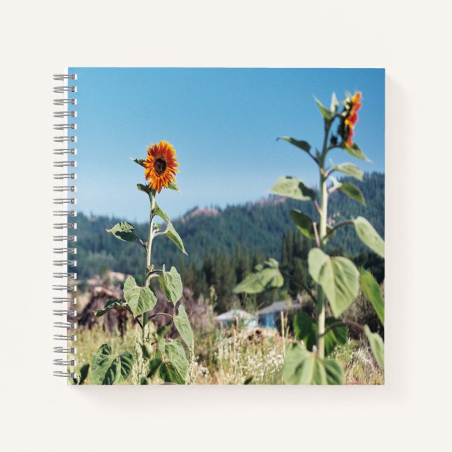 Summer Sunflowers...... Notebook (Front)
