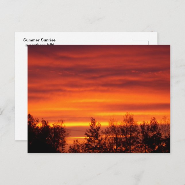 Summer Sunrise in northern MN Postcard (Front/Back)