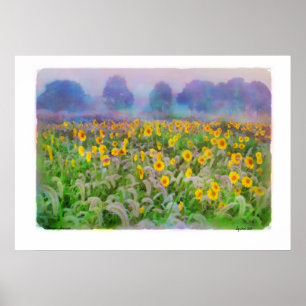 Summer sunrise , poster