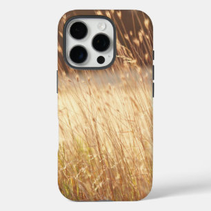 Summer Sunset Field Grass iPhone 16 Pro Case
