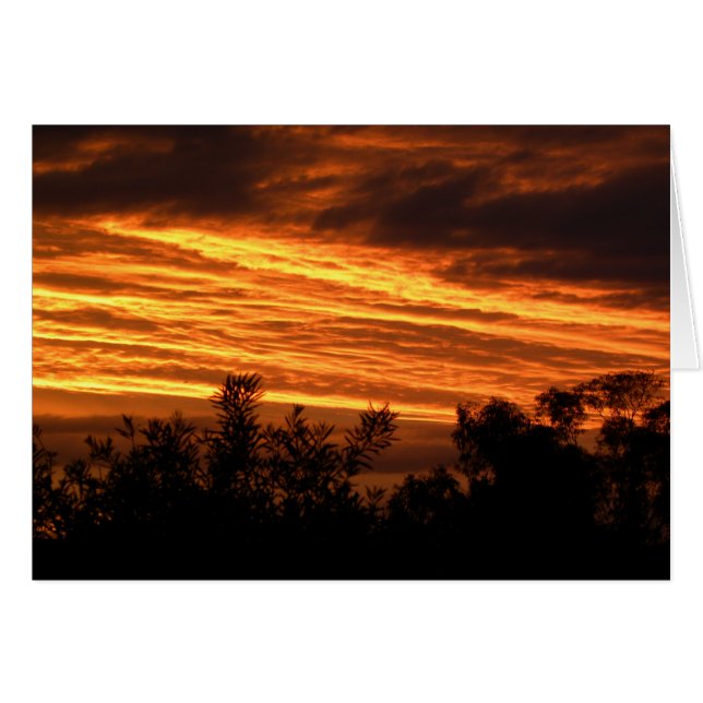 Summer sunset in Canberra (Front Horizontal)
