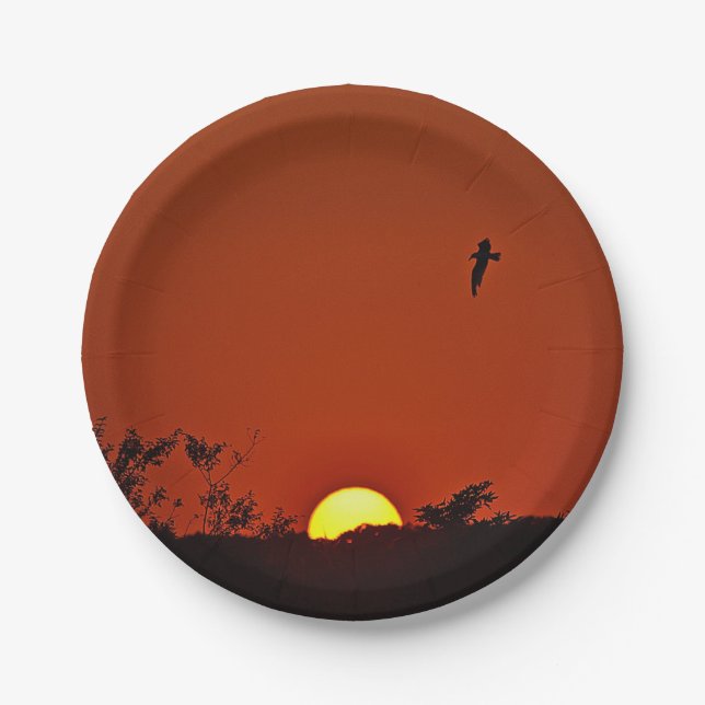 Summer Sunset Paper Plate (Front)