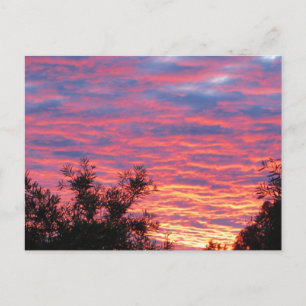 Summer Sunset Postcard