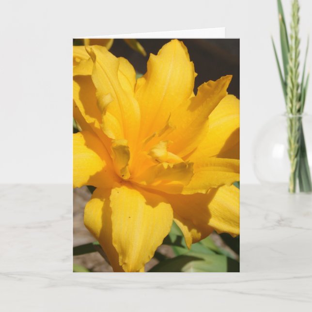Summer Thank You Card (Front)