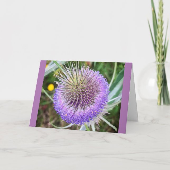 Summer Thistle Flower Card (Front)
