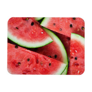 Summer Time Cold Watermelon Slices Magnet