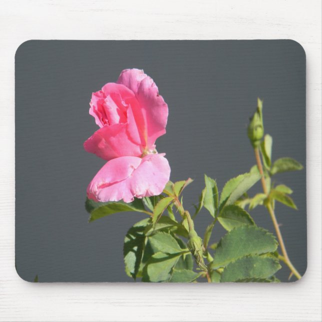 Summer Time Love... Mouse Mat (Front)