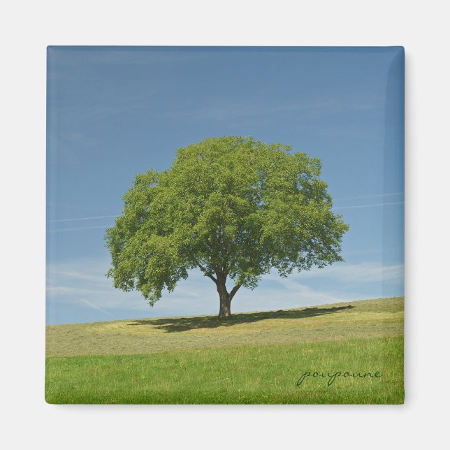 summer time magnet (Front)