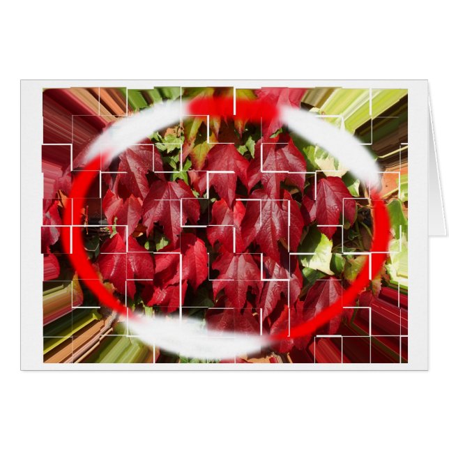 Summer to autumn (Front Horizontal)