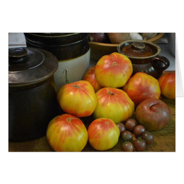 Summer Tomato Harvest (Front Horizontal)