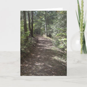 Summer Trail Holiday Card