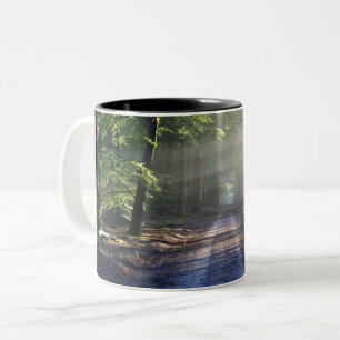 Summer Trees Covering Dirt Road Two-Tone Coffee Mug