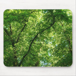 Summer Trees II Mouse Mat