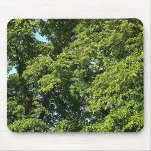 Summer Trees Mouse Mat