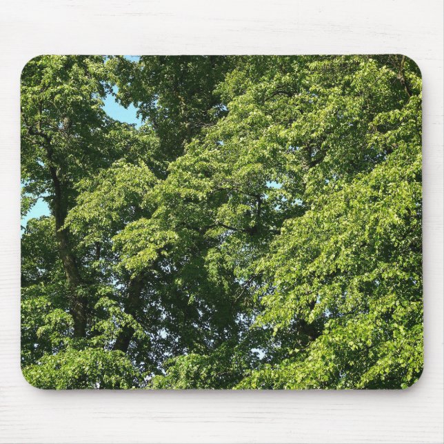 Summer Trees Mouse Mat (Front)