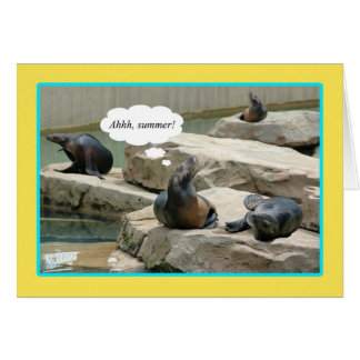 Summer Vacation! Time for chillaxin'