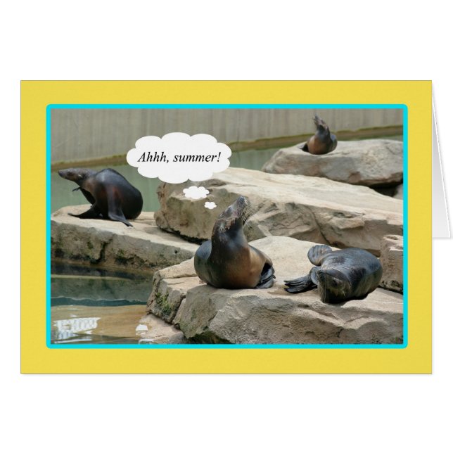 Summer Vacation! Time for chillaxin' (Front Horizontal)