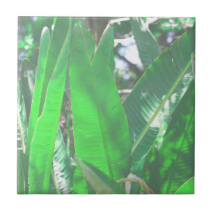 Summer Vibes Banana Tree Leaves Pale Green Pastel Tile
