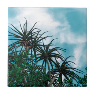 Summer Vibes Palm Tree Cactus Pale Green Tile