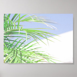Summer Vibes Palm Tree Leaves Pale Green Pastel Poster