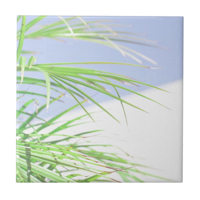 Summer Vibes Palm Tree Leaves Pale Green Pastel Tile (Front)