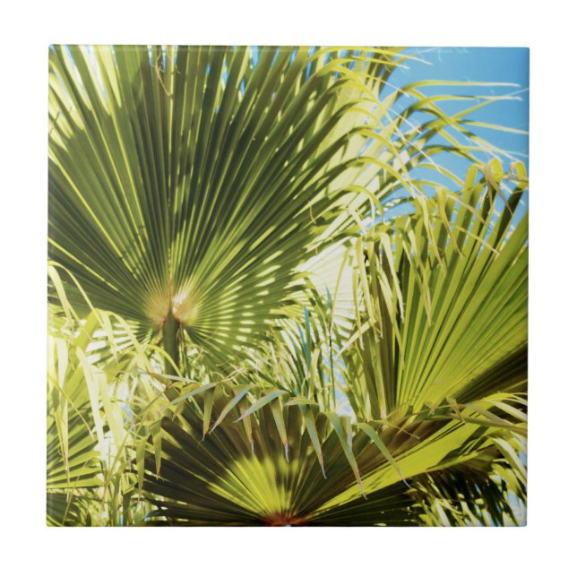 Summer Vibes Palm Tree Leaves Pale Green Tile (Front)
