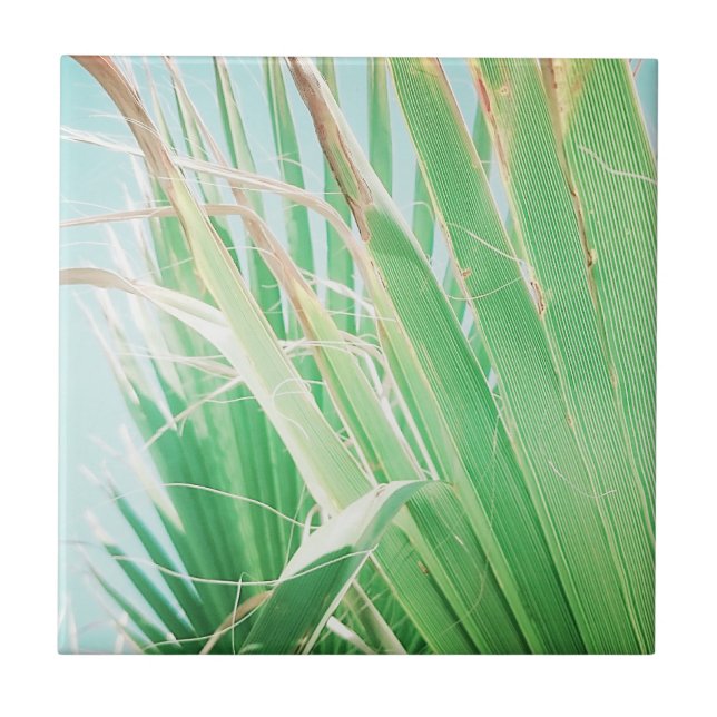 Summer Vibes Palm Tree Leaves Pale Green Tile (Front)
