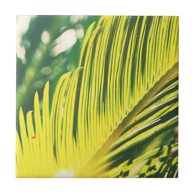 Summer Vibes Palm Tree Leaves Pale Green Tile (Front)