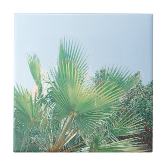 Summer Vibes Palm Tree Leaves Pale Green Tile (Front)