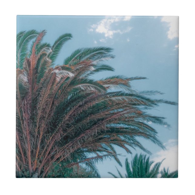 Summer Vibes Palm Tree Leaves Pale Green Tile (Front)
