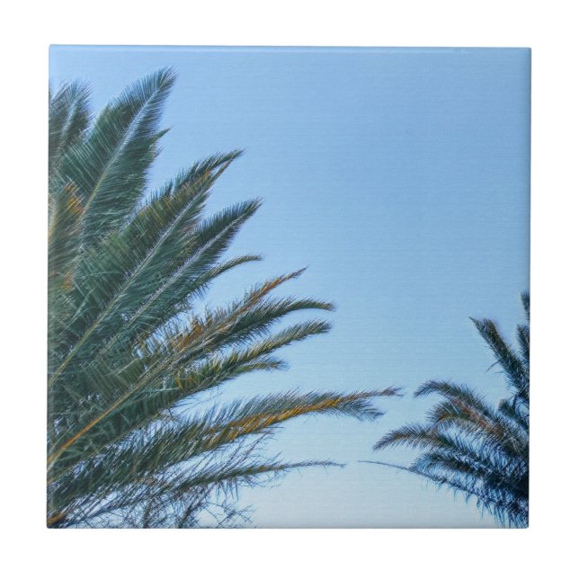 Summer Vibes Palm Tree Leaves Pale Green Tile (Front)