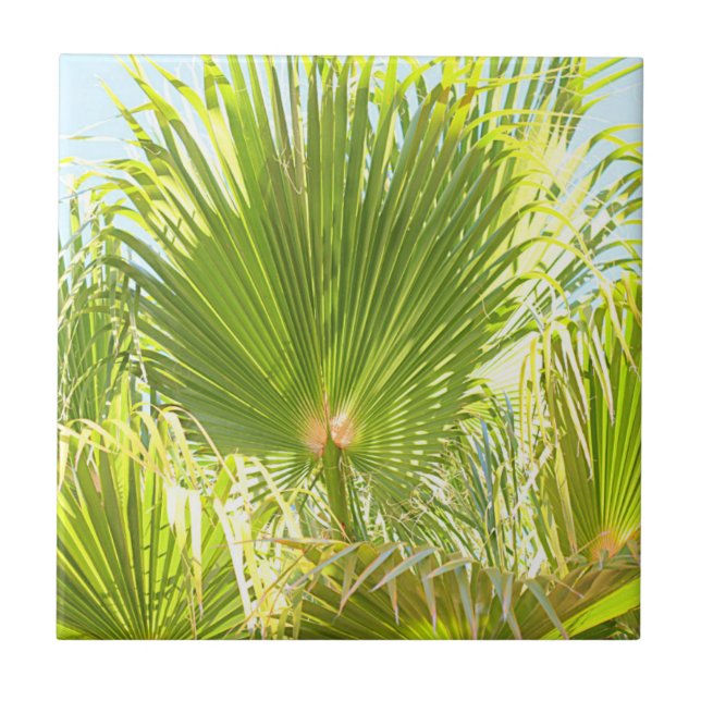 Summer Vibes Palm Tree Leaves Pale Green Tile (Front)