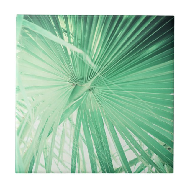 Summer Vibes Palm Tree Leaves Pale Green Tile (Front)