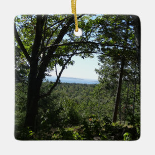 Summer View in Acadia National Park Ceramic Ornament