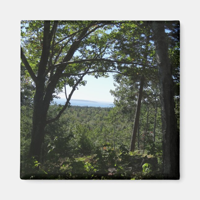 Summer View in Acadia National Park Magnet (Front)