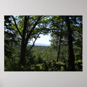 Summer View in Acadia National Park Poster