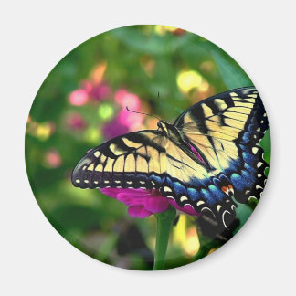 Summer Visitor Magnet